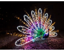 Световая фигура Павлин №3 005 Световая фигура Павлин №3 005