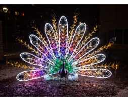 Световая фигура Павлин №3 005, фото 2