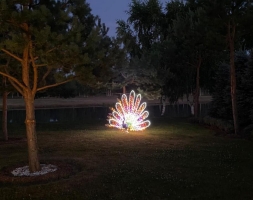 Световая фигура Павлин №3 005, фото 4