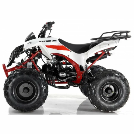 Квадроцикл MOTAX ATV Raptor LUX 125 сс, фото 4