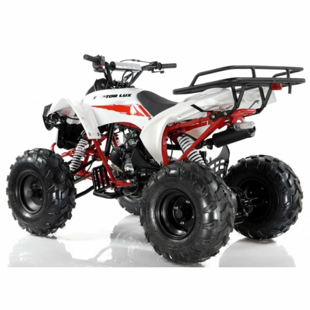 Квадроцикл MOTAX ATV Raptor LUX 125 сс, фото 3