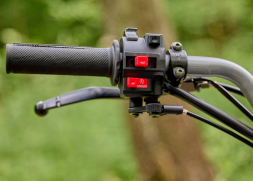 Квадроцикл SHARMAX Raizer Race Cup 250, фото 17