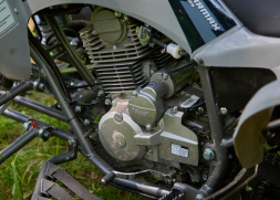 Квадроцикл SHARMAX Raizer Race Cup 250, фото 13