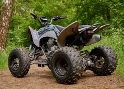 Квадроцикл SHARMAX Raizer Race Cup 250, фото 12