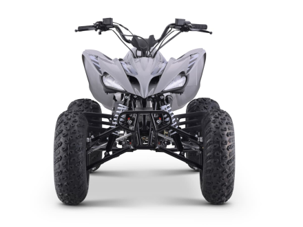 Квадроцикл SHARMAX Raizer Race Cup 250, фото 8