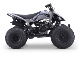 Квадроцикл SHARMAX Raizer Race Cup 250, фото 7