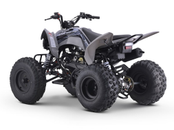 Квадроцикл SHARMAX Raizer Race Cup 250, фото 6