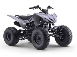 Квадроцикл SHARMAX Raizer Race Cup 250, фото 5