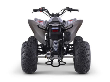 Квадроцикл SHARMAX Raizer Race Cup 250, фото 4