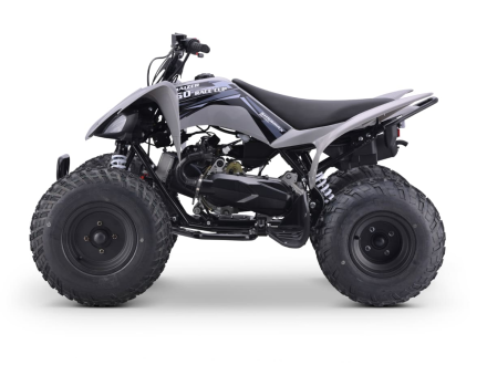 Квадроцикл SHARMAX Raizer Race Cup 250, фото 2