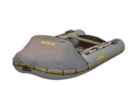 Надувная лодка BoatMaster 310TA Люкс (с тентом), фото 1