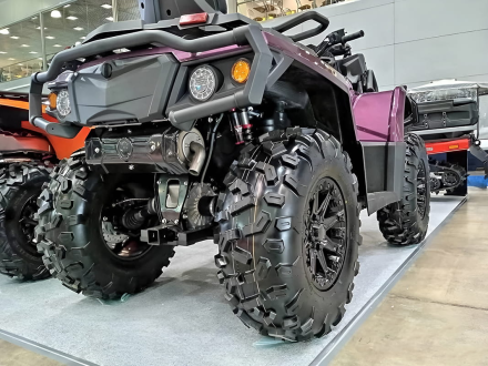 Квадроцикл АОДЕС Pathcross MAX 1000 LTD (2025), фото 1