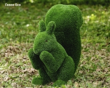 Топиари Белочка - газон Eco