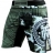 Шорты Hardcore Training hctshorts034