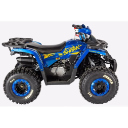 Квадроцикл Avantis HS8 Shark, фото 3