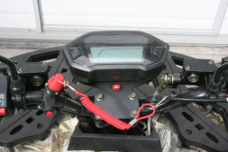 Квадроцикл GRIZZLY Aerox Mini 125cc, фото 10