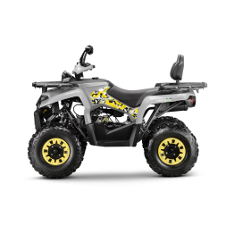 Квадроцикл GLADIATOR F200 Lux Plus, фото 4