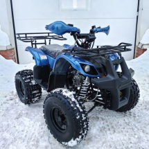 Квадроцикл MOTOLAND 125 Fox A Квадроцикл MOTOLAND 125 Fox A