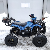 Квадроцикл MOTOLAND 125 Fox A Квадроцикл MOTOLAND 125 Fox A