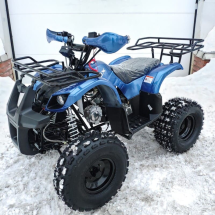 Квадроцикл MOTOLAND 125 Fox A Квадроцикл MOTOLAND 125 Fox A