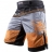 Шорты Hayabusa hayshorts063