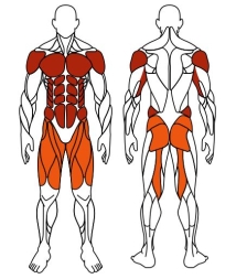 Жим ногами+Брусья (красный) - Уличный тренажер - СТ 023-11, фото 6 Жим ногами+Брусья (красный) - Уличный тренажер - СТ 023-11, фото 6