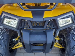 Квадроцикл MOTOLAND ATV 200 Wild Track, фото 17