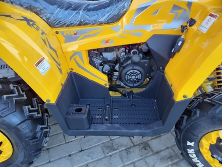 Квадроцикл MOTOLAND ATV 200 Wild Track, фото 11