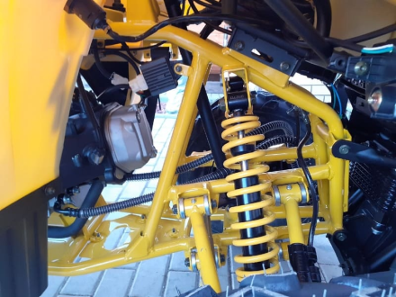 Квадроцикл MOTOLAND ATV 200 Wild Track, фото 10