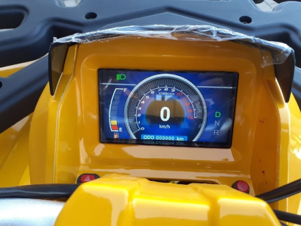 Квадроцикл MOTOLAND ATV 200 Wild Track, фото 9