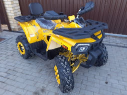 Квадроцикл MOTOLAND ATV 200 Wild Track, фото 6