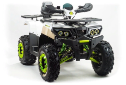 Квадроцикл MOTOLAND ATV 200 Wild Track, фото 5