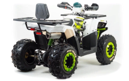 Квадроцикл MOTOLAND ATV 200 Wild Track, фото 4