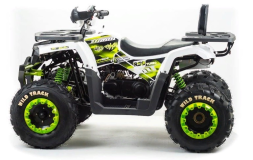 Квадроцикл MOTOLAND ATV 200 Wild Track, фото 1