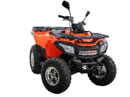 Квадроцикл MOTOLAND ATV 200 Max, фото 3