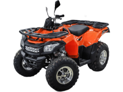 Квадроцикл MOTOLAND ATV 200 Max, фото 2