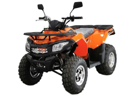 Квадроцикл MOTOLAND ATV 200 Max, фото 1