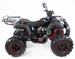Квадроцикл MOTAX ATV Grizlik-8 125, фото 18