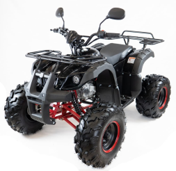 Квадроцикл MOTAX ATV Grizlik-8 125, фото 4