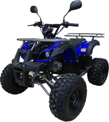 Квадроцикл MOTAX ATV Grizlik-8 125, фото 3