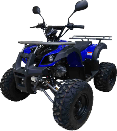 Квадроцикл MOTAX ATV Grizlik-8 125, фото 3