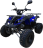 Квадроцикл MOTAX ATV Grizlik-8 125