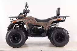 Квадроцикл SHARK III 250, фото 11