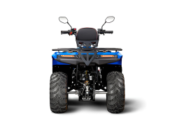 Квадроцикл IRBIS ATV200 LUX, фото 6