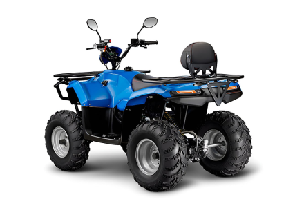 Квадроцикл IRBIS ATV200 LUX, фото 5
