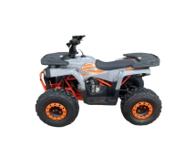 Квадроцикл MOTORHEAD Starstruck 125 Квадроцикл MOTORHEAD Starstruck 125