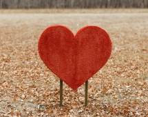 Топиари Сердце Без надписи - газон Eco Топиари Сердце Без надписи - газон Eco