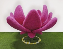 Топиари Один лотос - газон Eco