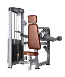 BRONZE GYM D-007_C Трицепс-машина