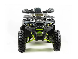 Квадроцикл MOTOLAND 200 Wild Track Pro, фото 2